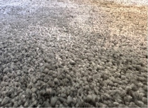 直接お渡し！IKEAラグ STOENSE ストエンセ 200x300 cm ！