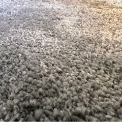 直接お渡し！IKEAラグ STOENSE ストエンセ 200x300 cm ！の画像