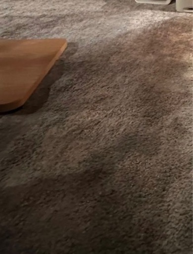 直接お渡し！IKEAラグ STOENSE ストエンセ 200x300 cm ！