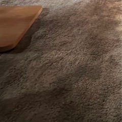 直接お渡し！IKEAラグ STOENSE ストエンセ 200x300 cm ！の画像