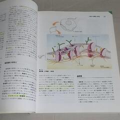 中古本 専門書 人体の構造と機能の画像