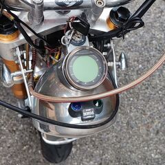 中華モンキーの画像