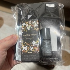 コスメポーチ、ポーラの試供品の画像