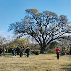 2月個人参加モルックメンバー募集中♫ - 川崎市