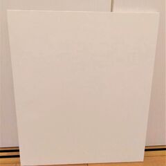 キャンバス　F20の画像