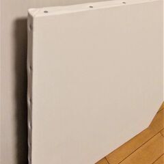 キャンバス　F20の画像