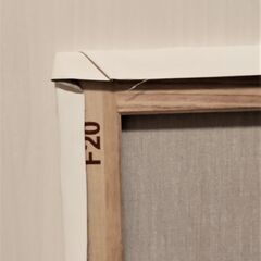 キャンバス　F20の画像