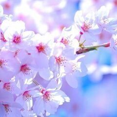 春の学びキャンペーン ♪【２０％OFF】