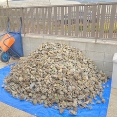 【お譲りします】ぐり石（小）砕石　ロックガーデン　庭石　お好きなだけ