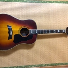 MＯＲＲＩＳ　ギターの画像