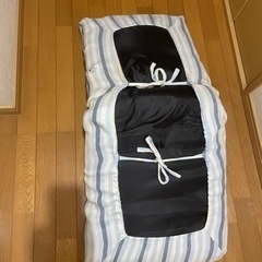 座椅子　ニトリのカバー付きの画像