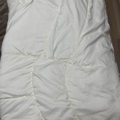 【無料/ニトリ】洗える掛け布団の画像