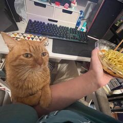 ミョウミョウちゃんを見てください　３月下旬まで