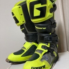 直観/Intuition MTG 直観/Intuition 日本語