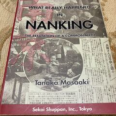 What Really Happened in Nanking