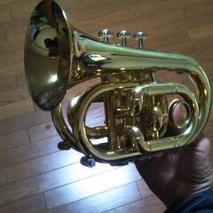 ミニトランペット　中古品（取引終了）の画像