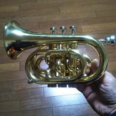 ミニトランペット　中古品（取引終了）の画像