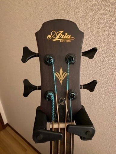 Aria Pro Acoustic Bass