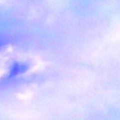シン・引き寄せ - その他
