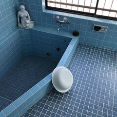 再募集！【温泉付き戸建て】阿賀野市畑江　真光寺ヴィレッジ − 新潟県