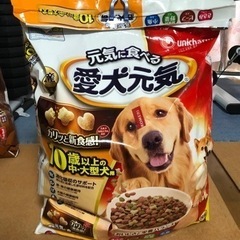 愛犬元気6kg ドッグフード　10歳以上　シニア犬