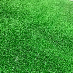 <新品>人工芝　約50cm×180cmの画像