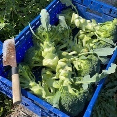 ★農業アルバイト募集★の画像