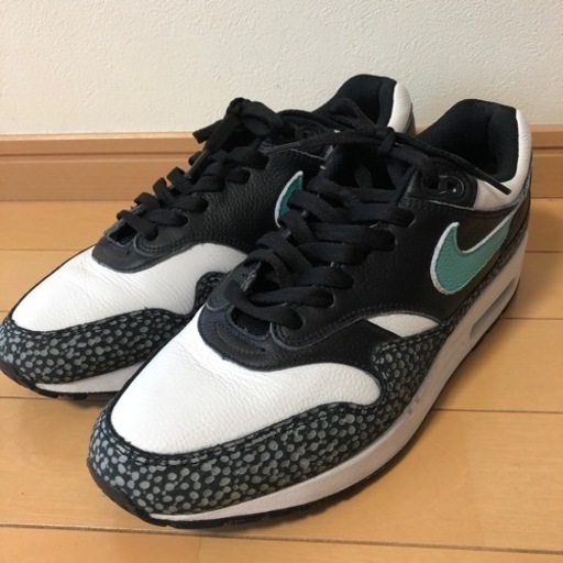 ナイキ　エアマックス 1 バイユー