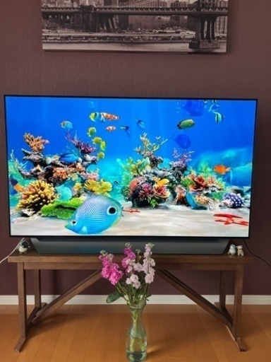 LG 有機ELモデルTV 55サイズ