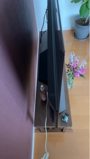 LG 有機ELモデルTV 55サイズ