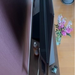 LG 有機ELモデルTV 55サイズの画像