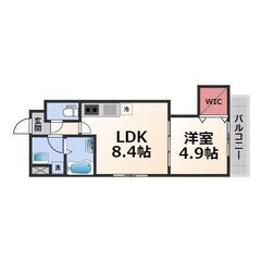 ✅家賃まで負担✅初期費用無料🎉泉大津駅12分🎉新築角部屋ペット可...