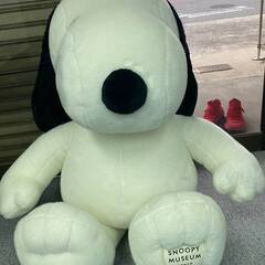 限定 超特大 直接引取可 スヌーピーミュージアム ぬいぐるみ