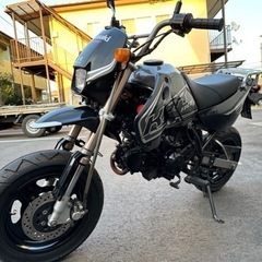 KSR110 綺麗な車両です✨の画像