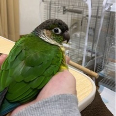 探しています。