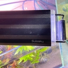 LED ライトの画像
