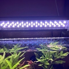 LED ライトの画像