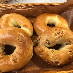 白神こだま酵母で作るベーグルのレッスン