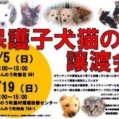 2/5💠譲渡会を開催します💠