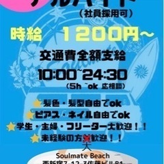 西新宿居酒屋アルバイト〜海の家〜