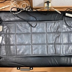 フランスベッド　スリーミーローラーＮ型　フットウエイト付き　10,000円の画像