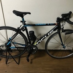  FＯCＵS   CＵLEBRＯ　SL2.0  2015  フレ...