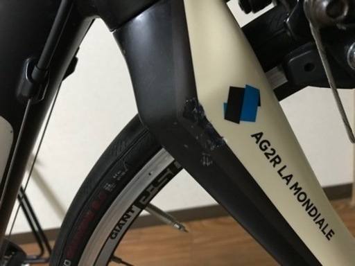 FＯCＵS   CＵLEBRＯ　SL2.0  2015  フレームサイズS