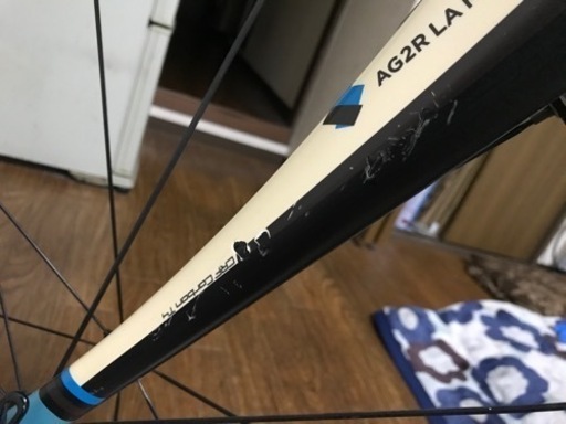 FＯCＵS   CＵLEBRＯ　SL2.0  2015  フレームサイズS