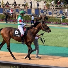 競馬　一口馬主オフ会　2月11日（土）メンバー募集