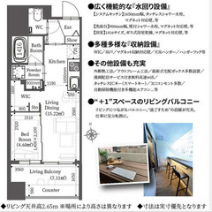 東京メトロ千代田線 大手町 徒歩7分 🉐礼金/敷金/初月家賃=無...