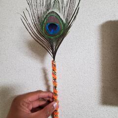 海外からのお土産🦚ペン🖊