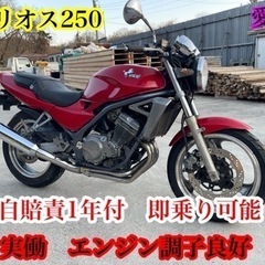 バリオス250 実働自賠責約1年付　エンジン調子良好　愛知