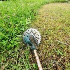 ※県内※ 草刈り・庭木の枝払い・生垣剪定・伐採 - 鹿児島市