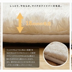 ラグ（未使用）の画像